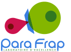 Logo Parafrap transparent
