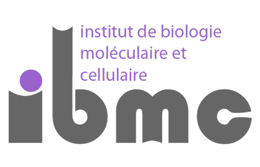 LOGO IBMC 2