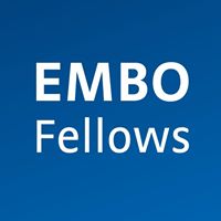 EMBO FELLOWS