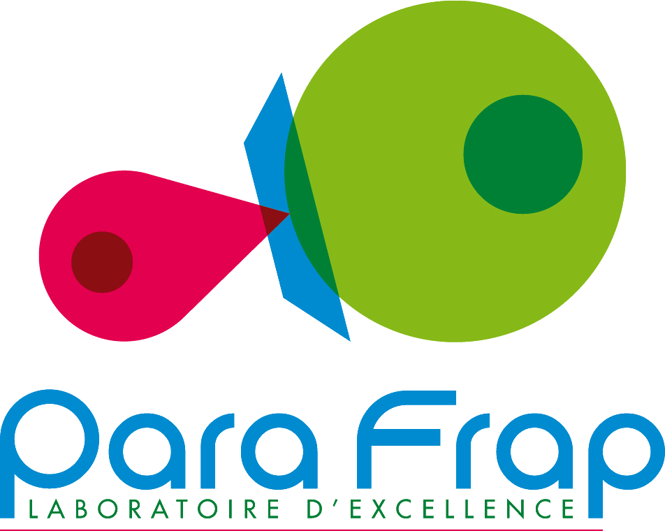 logo parafrap HD nobckground